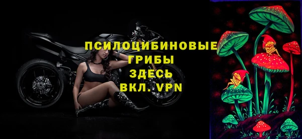 гидра Алзамай