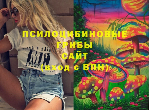 гидра Алзамай