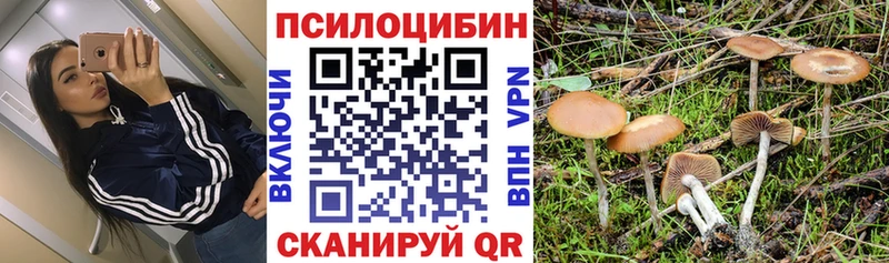 где продают наркотики  Тейково  Галлюциногенные грибы ЛСД 