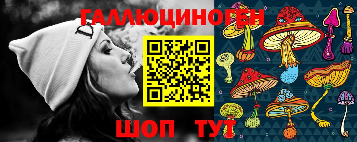 Галлюциногенные грибы Cubensis Тейково