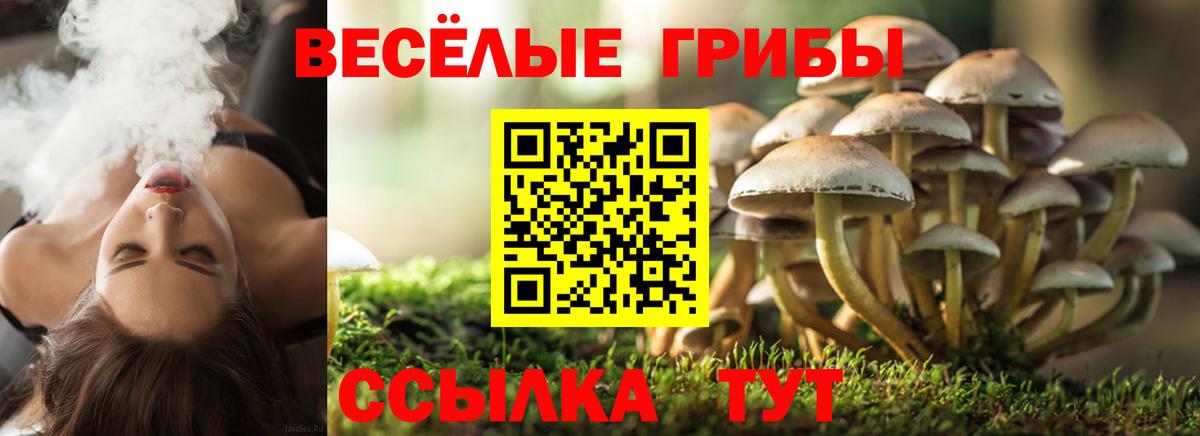 где можно купить   Псилоцибиновые грибы прущие грибы  Вход с VPN  Тейково 